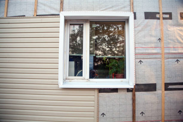 Best Shed Removal  in Papillion, NE