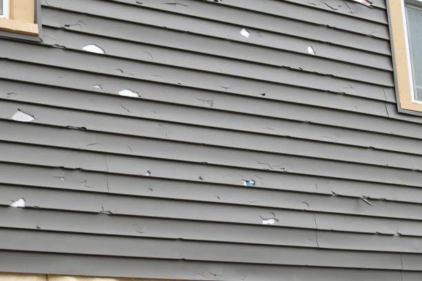 Best Garage Cleanout  in Papillion, NE
