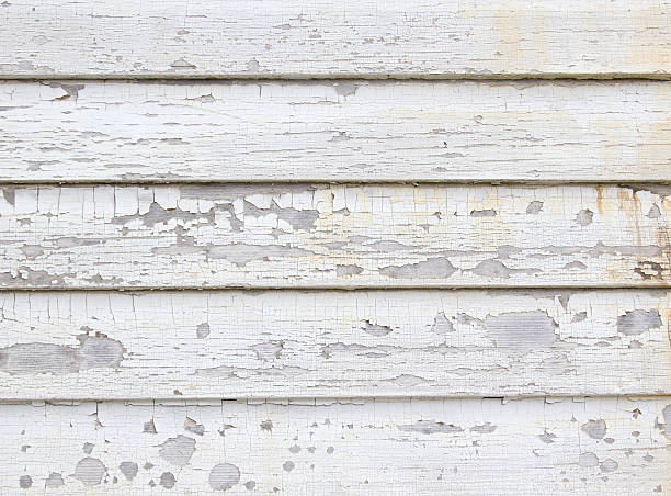 Best Dumpster Rental Services  in Papillion, NE